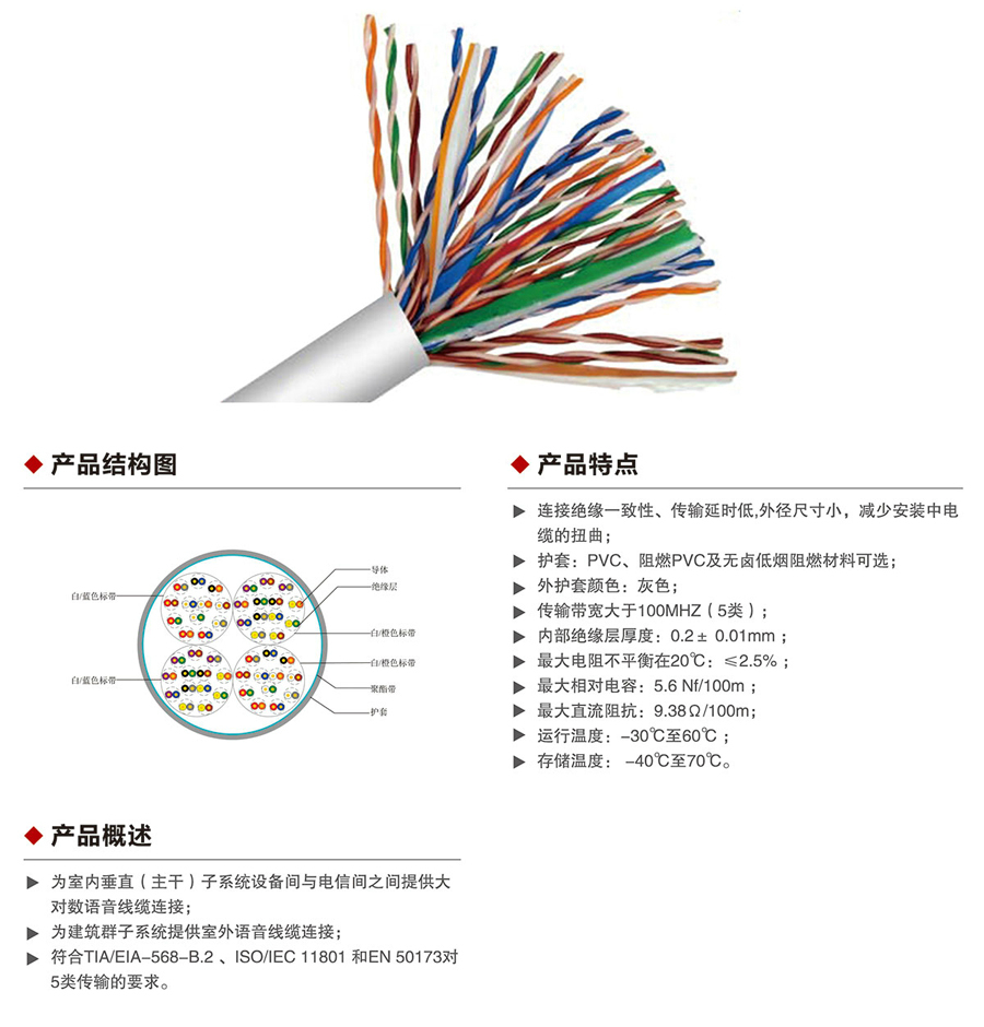 五類大對數(shù)雙絞線1